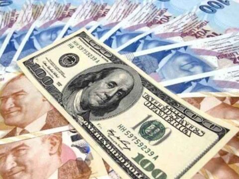Выгодная валюта для расчетов в Турции: лиры или доллары?