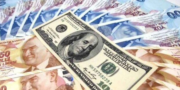 Выгодная валюта для расчетов в Турции: лиры или доллары?