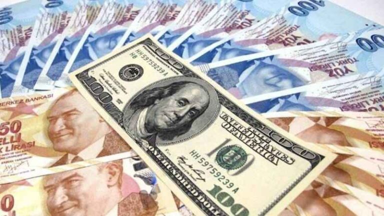 В какой валюте выгоднее платить в Турции?